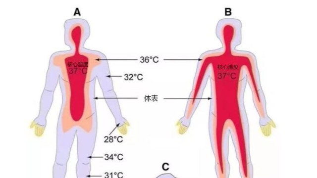 工業(yè)紅外測(cè)溫儀-便攜式熱成像測(cè)溫儀能用于體溫檢測(cè)嗎？